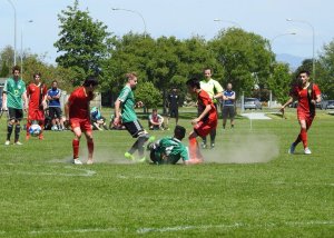 Ellerslie v Onehunga